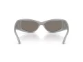 Swarovski Lunettes de Soleil SK 6027 10596G