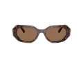 Swarovski Lunettes de Soleil SK 6028 100273