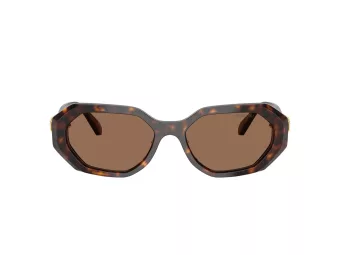 Swarovski Lunettes de Soleil SK 6028 100273