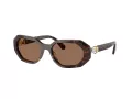 Swarovski Lunettes de Soleil SK 6028 100273