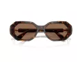 Swarovski Lunettes de Soleil SK 6028 100273