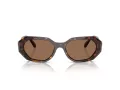 Swarovski Lunettes de Soleil SK 6028 100273