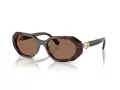 Swarovski Lunettes de Soleil SK 6028 100273