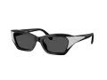 Swarovski Lunettes de Soleil SK 6029 100187