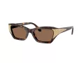Swarovski Lunettes de Soleil SK 6029 100273