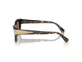 Swarovski Lunettes de Soleil SK 6029 100273