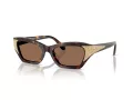 Swarovski Lunettes de Soleil SK 6029 100273