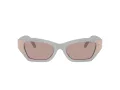 Swarovski Lunettes de Soleil SK 6029 10317N