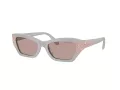 Swarovski Lunettes de Soleil SK 6029 10317N