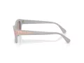 Swarovski Lunettes de Soleil SK 6029 10317N