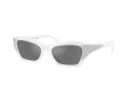 Swarovski Lunettes de Soleil SK 6029 10506G