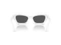 Swarovski Lunettes de Soleil SK 6029 10506G
