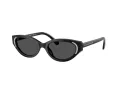 Swarovski Lunettes de Soleil SK 6030 100187