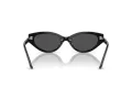 Swarovski Lunettes de Soleil SK 6030 100187