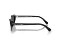 Swarovski Lunettes de Soleil SK 6030 100187