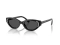 Swarovski Lunettes de Soleil SK 6030 100187