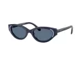 Swarovski Lunettes de Soleil SK 6030 100455