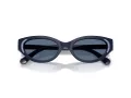 Swarovski Lunettes de Soleil SK 6030 100455