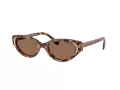Swarovski Lunettes de Soleil SK 6030 104073