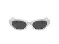 Swarovski Lunettes de Soleil SK 6030 106087