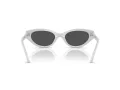 Swarovski Lunettes de Soleil SK 6030 106087