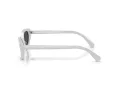 Swarovski Lunettes de Soleil SK 6030 106087