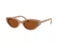 Swarovski Lunettes de Soleil SK 6030 106173