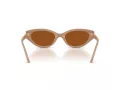 Swarovski Lunettes de Soleil SK 6030 106173