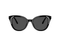 Swarovski Lunettes de Soleil SK 6031 100187