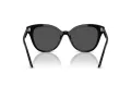 Swarovski Lunettes de Soleil SK 6031 100187