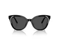 Swarovski Lunettes de Soleil SK 6031 100187