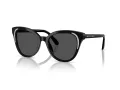 Swarovski Lunettes de Soleil SK 6031 100187