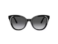 Swarovski Lunettes de Soleil SK 6031 1001T3