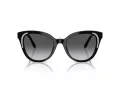 Swarovski Lunettes de Soleil SK 6031 1001T3