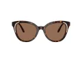 Swarovski Lunettes de Soleil SK 6031 100273
