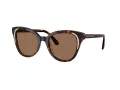 Swarovski Lunettes de Soleil SK 6031 100273