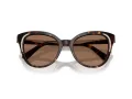 Swarovski Lunettes de Soleil SK 6031 100273