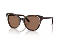 Swarovski Lunettes de Soleil SK 6031 100273