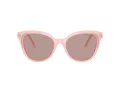 Swarovski Lunettes de Soleil SK 6031 10317N