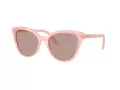 Swarovski Lunettes de Soleil SK 6031 10317N