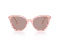 Swarovski Lunettes de Soleil SK 6031 10317N