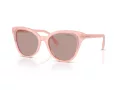 Swarovski Lunettes de Soleil SK 6031 10317N