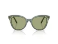Swarovski Lunettes de Soleil SK 6031 104382