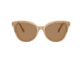 Swarovski Lunettes de Soleil SK 6031 2002M4