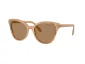 Swarovski Lunettes de Soleil SK 6031 2002M4