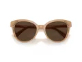 Swarovski Lunettes de Soleil SK 6031 2002M4