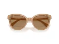 Swarovski Lunettes de Soleil SK 6031 2002M4