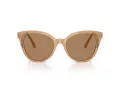 Swarovski Lunettes de Soleil SK 6031 2002M4