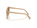 Swarovski Lunettes de Soleil SK 6031 2002M4