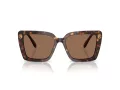 Swarovski Lunettes de Soleil SK 6032 100273